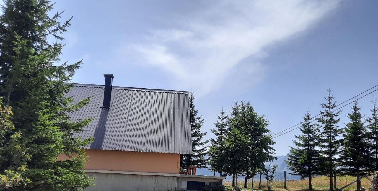 Vila Aleksandar Zabljak  Ngoại thất bức ảnh